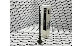 Клапан со штоком F00RJ02056 MANTOR